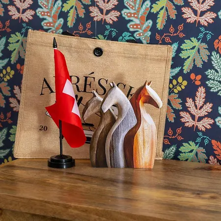 Chic And Cozy In With Free Parking * Saint-Moritz
